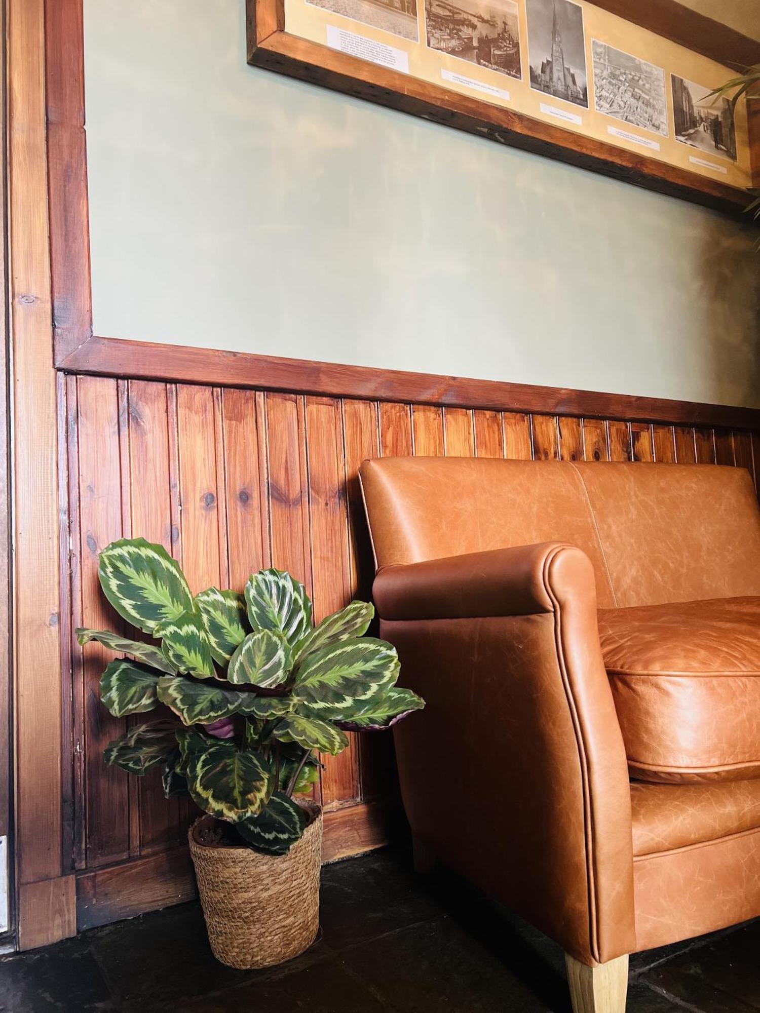 Tuckers Inn Invergordon Ngoại thất bức ảnh